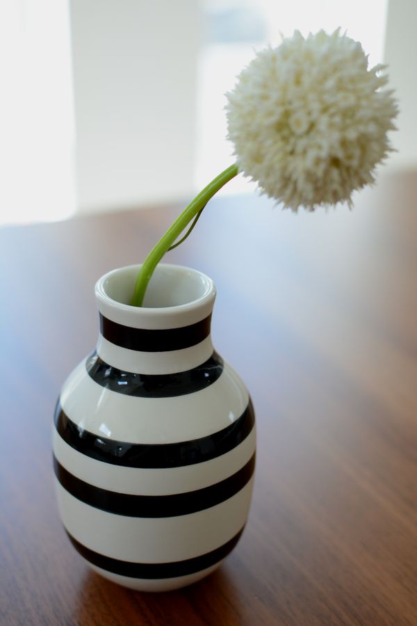 オマジオと造花 オマジオと造花