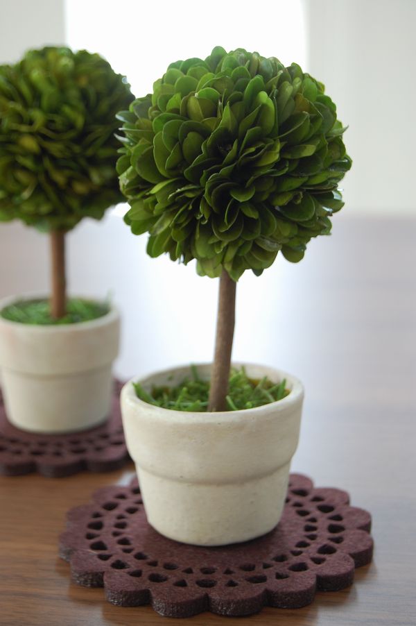 トピアリーボールとコースター