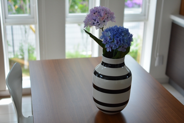 オマジオとあじさい