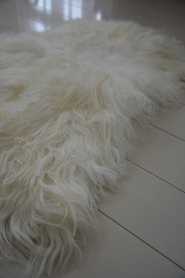 Organic Sheep ロングヘアナチュラルホワイト