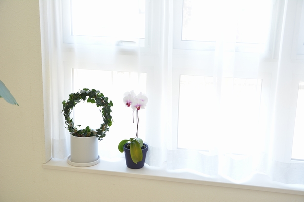 リビング窓 リビング窓