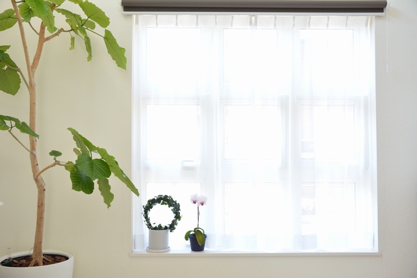 リビング窓 リビング窓