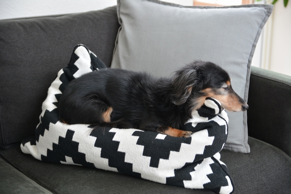 シープスキン収納