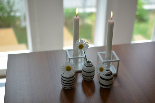 オマジオミニと除虫菊 オマジオミニと除虫菊