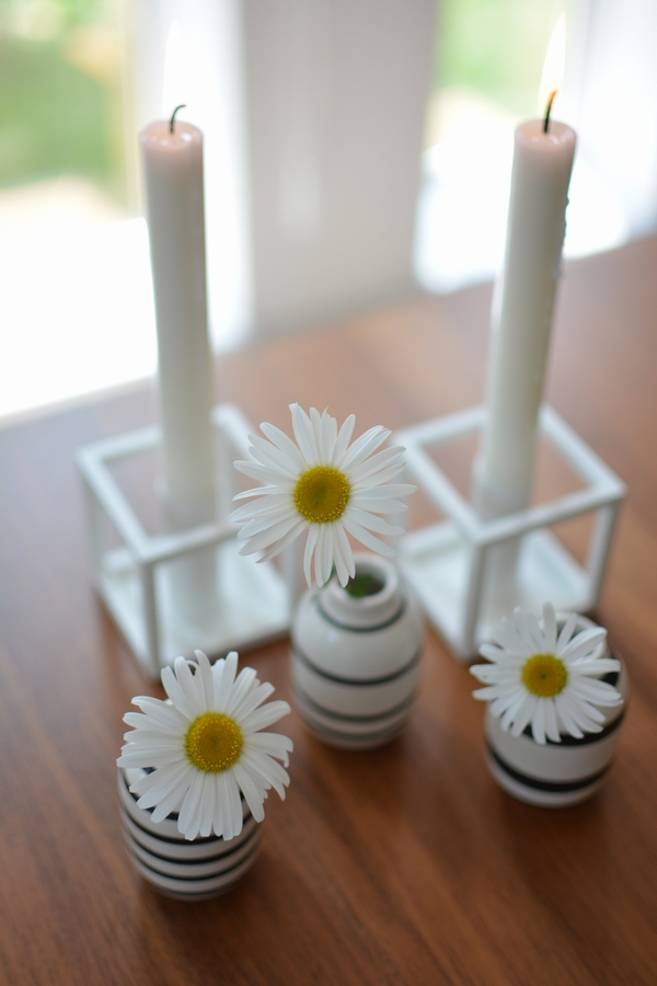 オマジオミニと除虫菊 オマジオミニと除虫菊