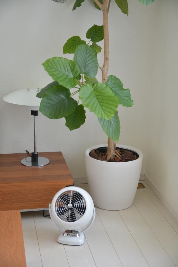 ボルネード サーキュレーター ボルネード サーキュレーター