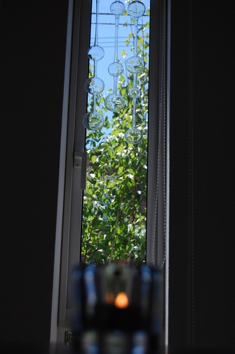 イッタラ　kivi　クリアとアテネの朝