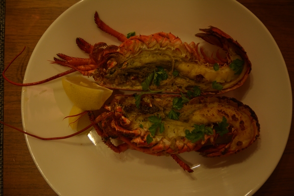 アラビア Eeva オーバルプレート25cmとロブスター