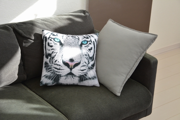 ダイソーアニマルクッションカバーとソファー