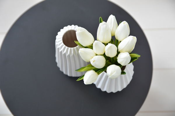 白いチューリップ上から