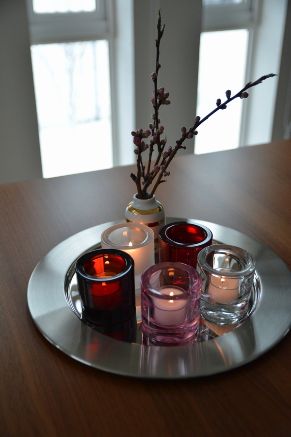 kiviとサルパネヴァ スチールプレート2