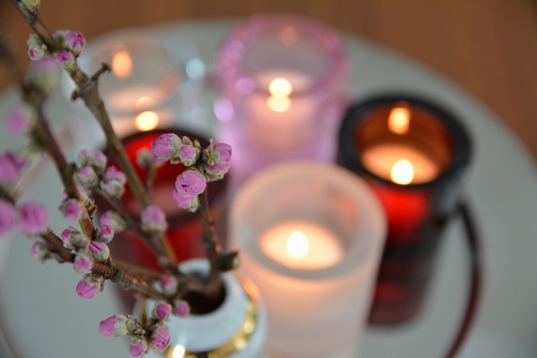 kiviとサルパネヴァ スチールプレート5