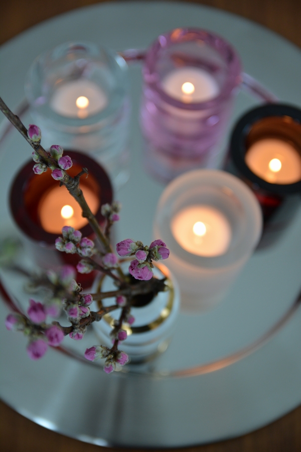 kiviとサルパネヴァ スチールプレート7