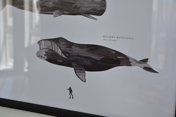 Coco Lapaine KETOSのデザイン